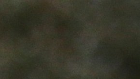 Katyal insta al presidente a declarar ante el Senado por su 'impeachment'.