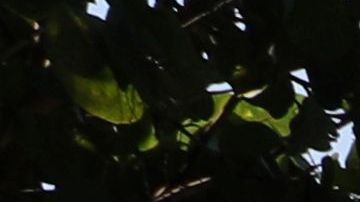 El Super Bowl 2020 se celebrará en Miami el próximo 2 de febrero.