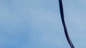 Taquicardia, respiración corta, falta de concentración, manos temblorosas, irritabilidad y problemas al dormir son algunos de los síntomas que se pueden experimentar.