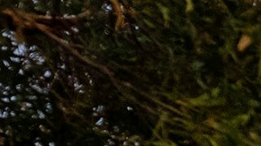 El ganador no contaba con seguro de casa.