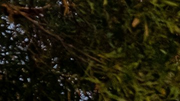 El ganador no contaba con seguro de casa.