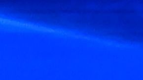 Warren, Biden y Sanders, los favoritos de la nominación demócrata.