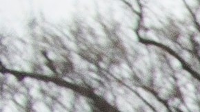 Manifestantes con una pancarta cerca de la Casa Blanca durante la Marcha de las Mujeres 2020.