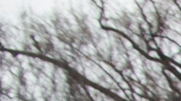 Manifestantes con una pancarta cerca de la Casa Blanca durante la Marcha de las Mujeres 2020.