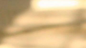 Los leones han perdido dos tercios de su peso.