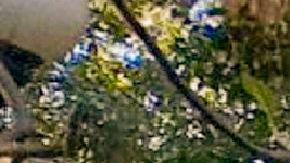 Trabajadores abandonan edificios durante el temblor en La Habana.