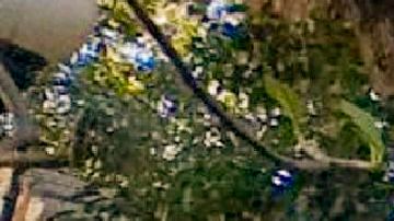 Trabajadores abandonan edificios durante el temblor en La Habana.