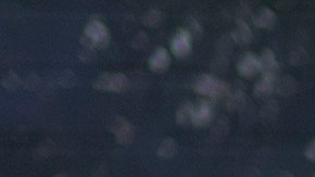 Cientos se acercan a rendir tributo a Kobe Bryant en Los Ángeles.