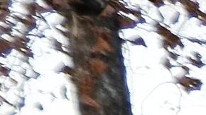 Este fin de semana sucedió otra tragedia en el futbol de Italia.