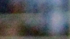 Borja (al centro), podría ser el último refuerzo celeste.