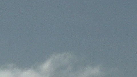 El hombre actuaba en el aeropuerto de Sarasota (Florida).