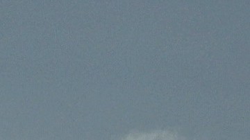 El hombre actuaba en el aeropuerto de Sarasota (Florida).