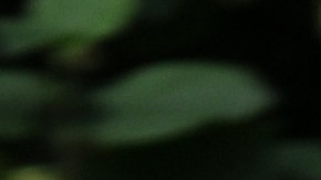 La princesa Magdalena de Suecia en una imagen de archivo.