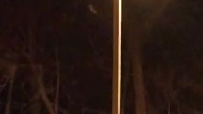 Sucedió en Spring Valley