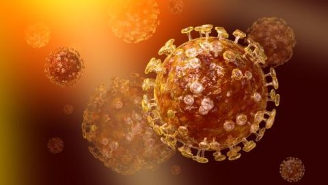 Coronavirus.