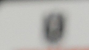 'Chepo' ahora dirige a Toluca.