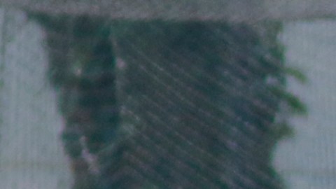 Paolo Goltz jugó con América de 2014 a 2017.