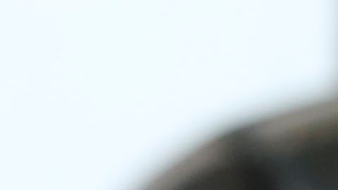 Querétaro, Querétaro, 05 enero de 2019. , durante el juego de la jornada 1 del torneo Clausura 2019 de la Liga Bancomer MX, entre los Gallos Blancos de Querétaro  y los rojinegros del Atlas, celebrado en el estadio Corregidora. Foto: Imago7 / Víctor Pichardo