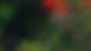 Omar Lomelí fue cesado del América a finales del 2019.