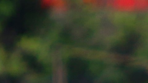 Omar Lomelí fue cesado del América a finales del 2019.