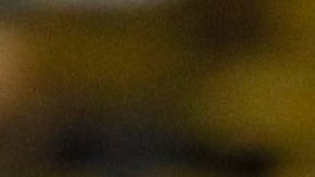 Xolos y América se enfrentan en la fecha 3 del Clausura 2020.