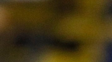 Xolos y América se enfrentan en la fecha 3 del Clausura 2020.