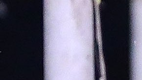 Felipe Mora en celebración de gol con Pumas