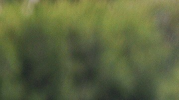 Peláez aseguró la continuidad de Tena.