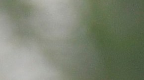 sebastian jurado compañero de memo ochoa