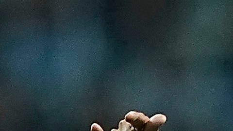 Bruno Valdez presentó molestias en su rodilla.