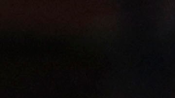 El canino le puso sabor a la primera parte del encuentro.