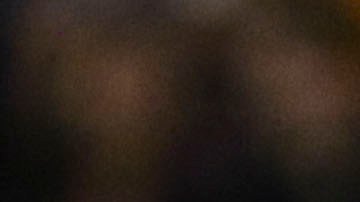 perrita del san luis cruz azul desaparece