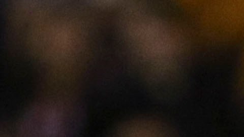 perrita del san luis cruz azul desaparece