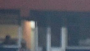 Chivas no ha perdido en el 2020.