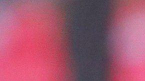 Pese a la goleada que recibió su equipo, el único seguidor presente en la zona visitante en el duelo entre Tijuana y Querétaro se mantuvo al pie del cañón hasta el último minuto del partido.