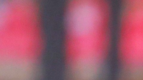 Pese a la goleada que recibió su equipo, el único seguidor presente en la zona visitante en el duelo entre Tijuana y Querétaro se mantuvo al pie del cañón hasta el último minuto del partido.