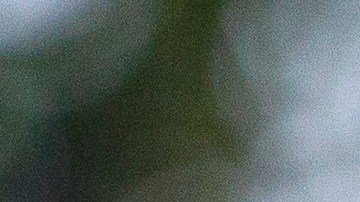 'Chicharito': primer día en su nueva casa.