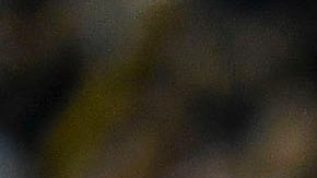 Chivas tuvo que trasladarse vía terrestre.