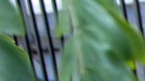 La ordenanza contra los campamentos de desamparados en las banquetas, no resuelve el problema de la población sin hogar. (Archivo/La Opinión)