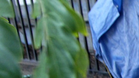La ordenanza contra los campamentos de desamparados en las banquetas, no resuelve el problema de la población sin hogar. (Archivo/La Opinión)