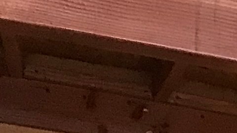 Zeferino García, propietario de Expresión Oxaqueña Restaurant. / fotos: Iliana Salguero.