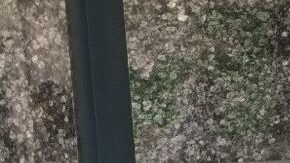 Melody Olander se despertó un día ciega del ojo izquierdo.