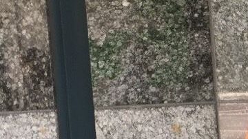 Melody Olander se despertó un día ciega del ojo izquierdo.