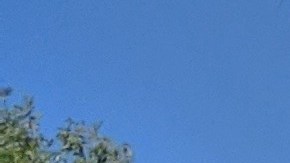 Los Reyes Magos les dan juguetes a Iris y Brittany. (Jacqueline García)