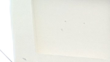 Jornaleros y aliados dicen que lucharan para que el centro de jornaleros no desaparezca. (Jacqueline García)