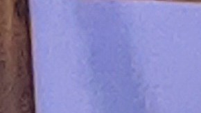 El Supervisor Mark Ridley-Thomas hizo un llamado para que todos se unan a la lucha contra la indigencia. (Jacqueline García/La Opinión)