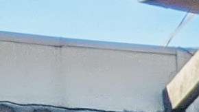 Autoridades y activistas piden a las personas que celebren responsablemente. (Jacqueline García)