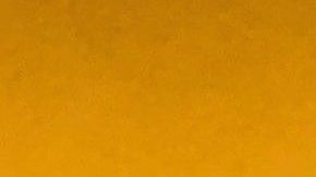 Edward Muña junto al grupo de analistas que trabajaron en el estudio "State of immigrants in Los Angeles County". (Suministrada)