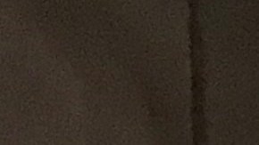 Las primeras líneas que han hecho el cambio es la azul y la Expo.