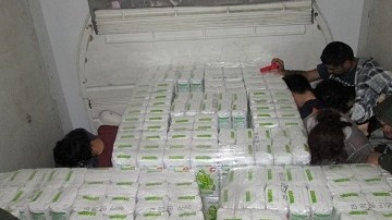 Indocumentados tráiler